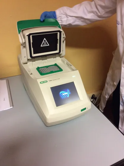 Laboratorio di Biotecnologie, foto 6 di 13