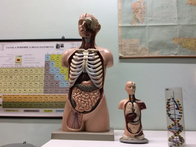 Aula di scienze, foto 3 di 6