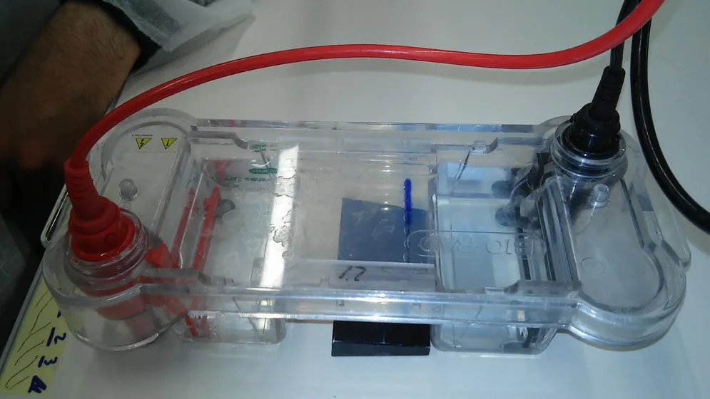 Laboratorio di Biotecnologie, foto 7 di 13